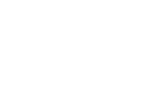Pinsy