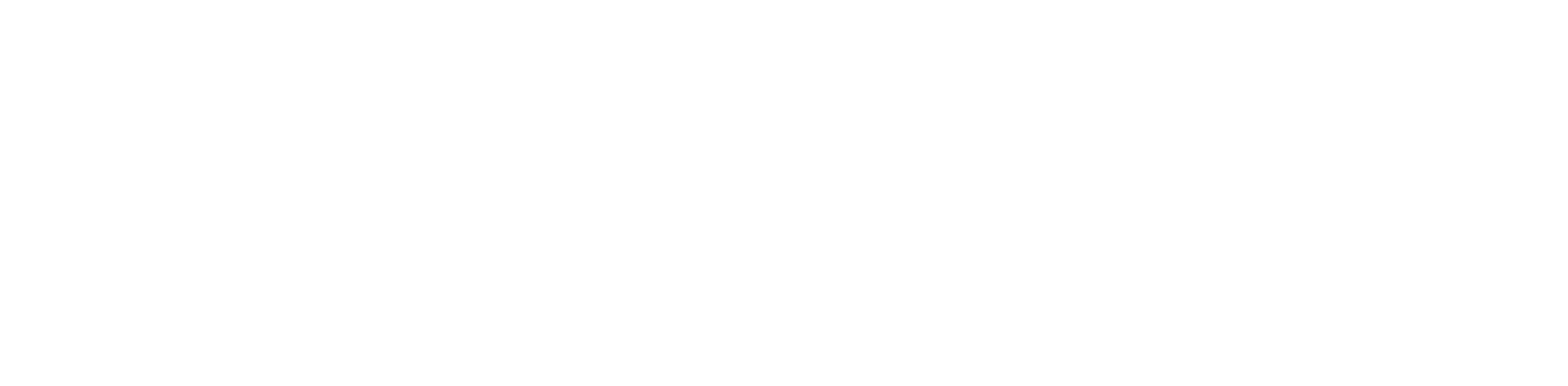 Sebastian Cruz Couture